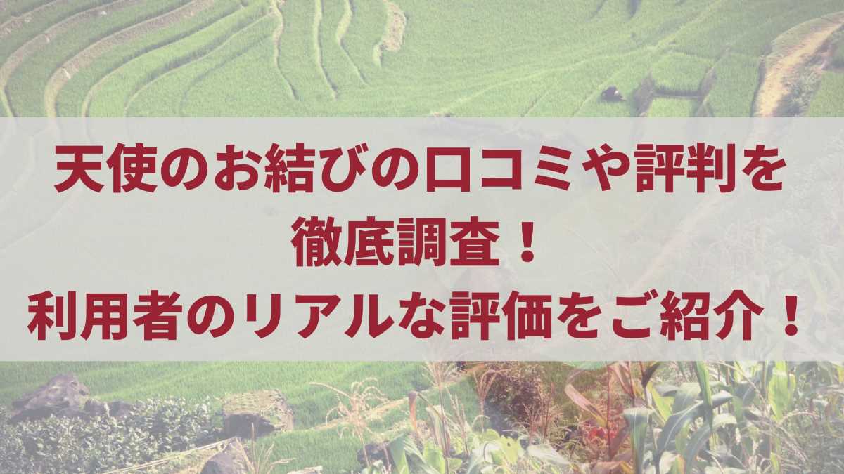 天使のお結びの口コミや評判を徹底調査！利用者のリアルな評価をご紹介！